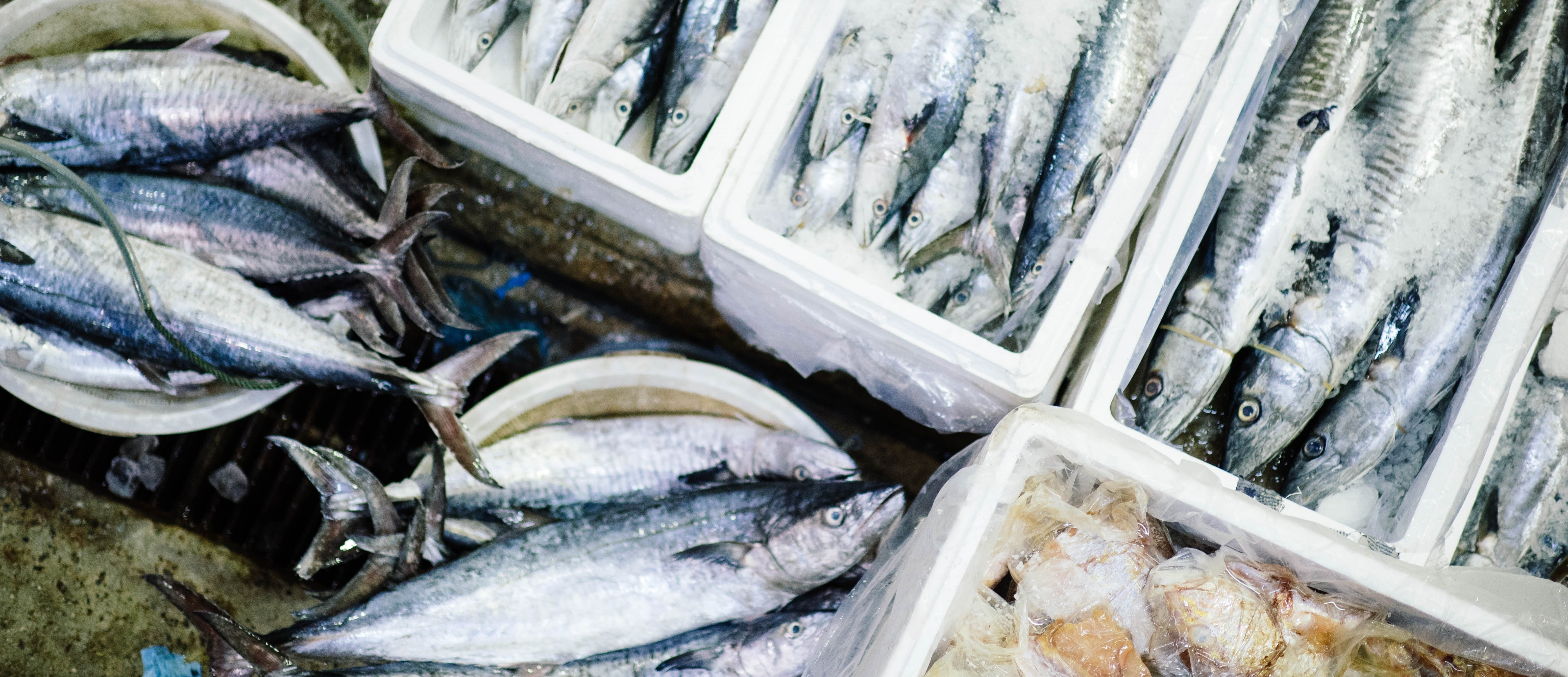 connected vehicles hivemind 5